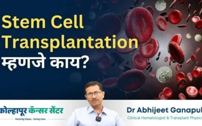 Stem Cell Transplantation for Blood Cancers: Your Essential Guide